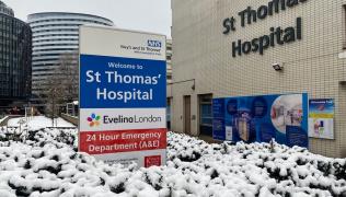 Snow on bushes surrounding the St Thomas' Hospital sign