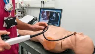Echocardiography simulation training with a dummy