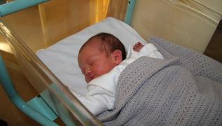 Newborn baby in cot