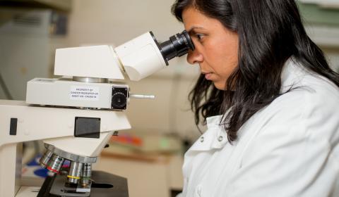 Female Biobank researcher in white lab coat looking into microscope