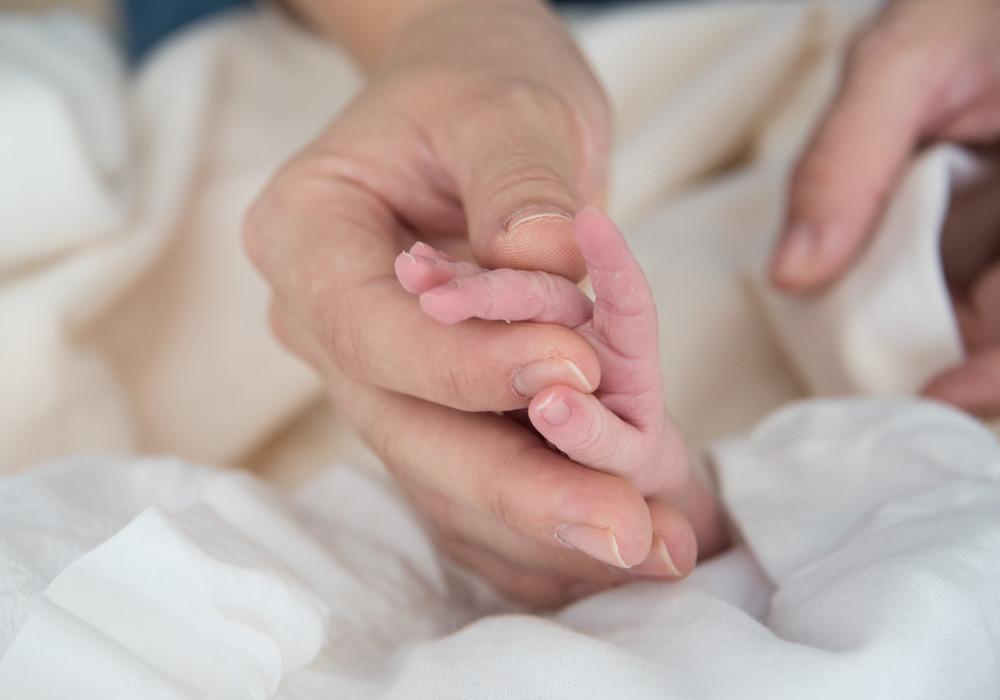 Newborn baby holding parent's hand