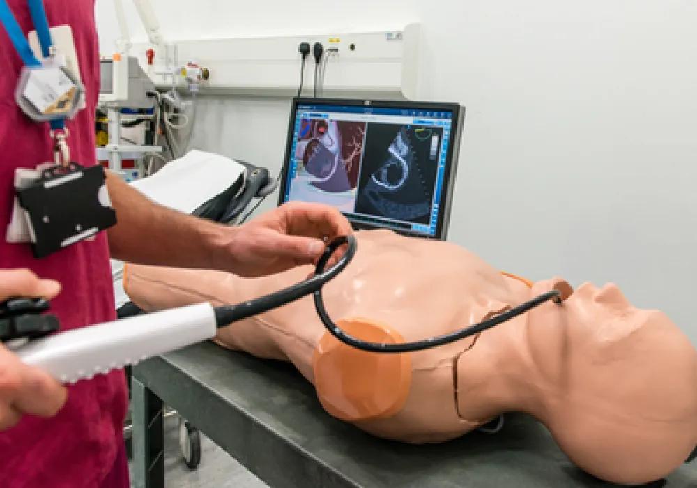 Echocardiography simulation training with a dummy