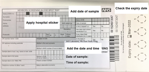 Photo of a blood spot card with instructions about what to do