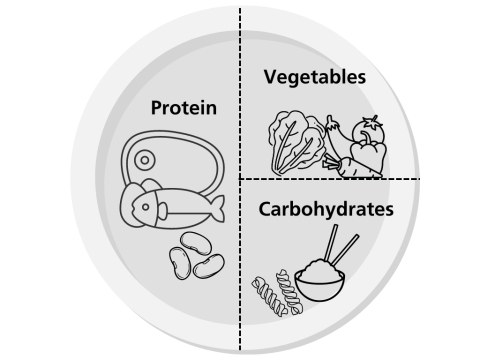 Graphic of a bariatric plate showing a balanced diet of half protein, quarter vegetables and quarter carbohydrates
