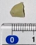 Image shows a small piece of macadamia nut, on a flat surface. The macadamia is next to a ruler, showing the nut measures approximately 5mm in length.