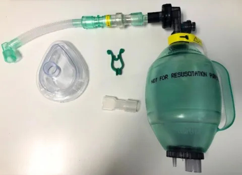 A oval-shaped green bag made of hard plastic. It's connected to a plastic tube. There is separate plastic face mask, small mouthpiece and nose clip.
