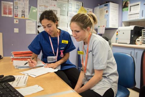 Two maternity staff at work